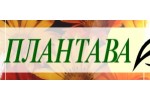 ПЛАНТАВА ЕООД